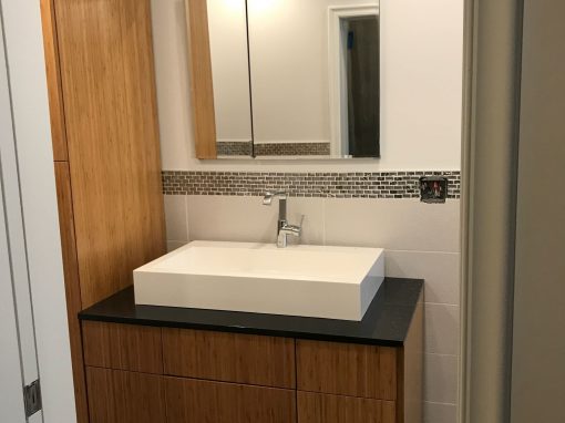 Overlook Tr Manhattan NY Bathroom Renovation