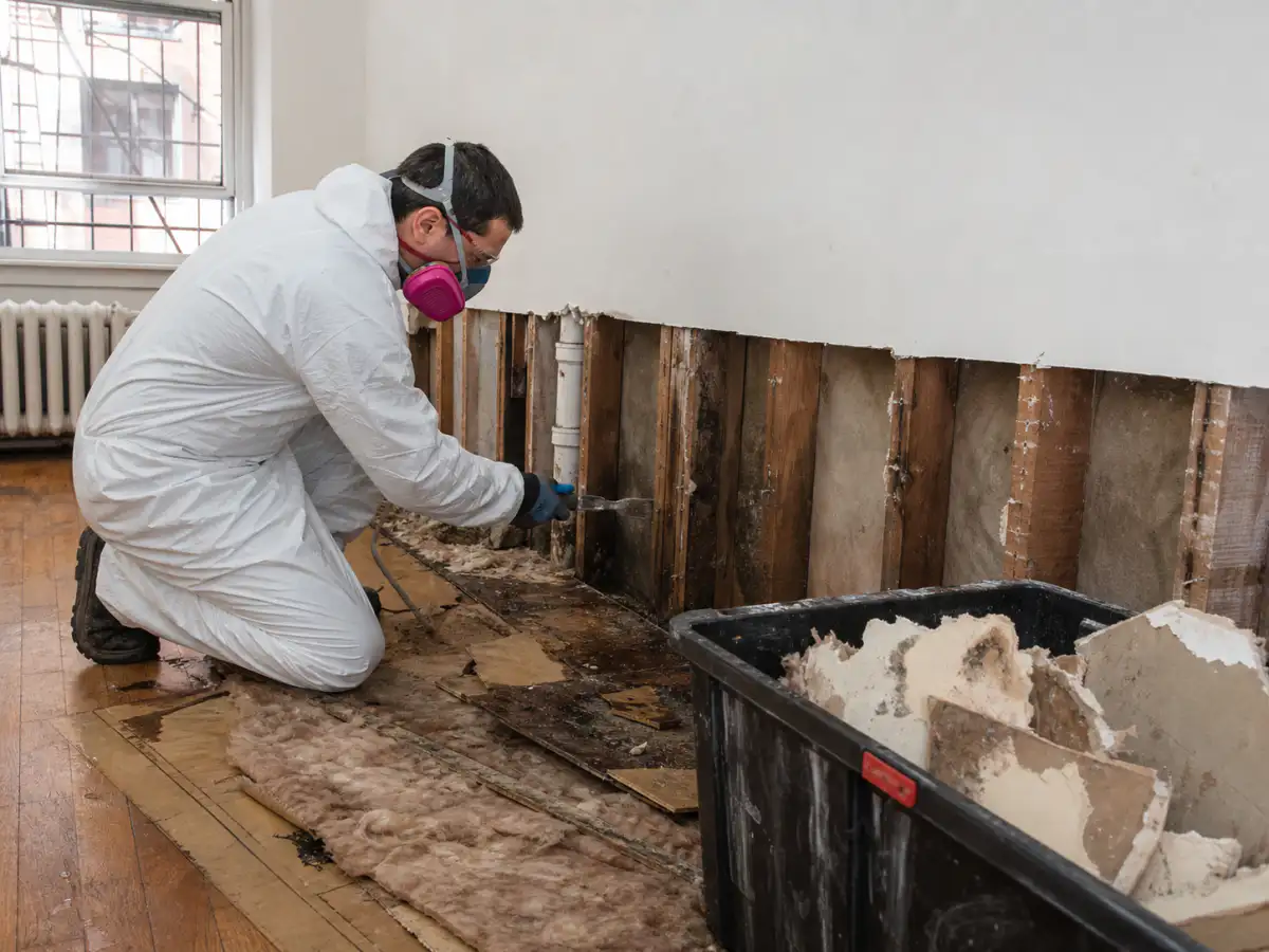 Controlled removal of water-damaged drywall, insulation, and flooring